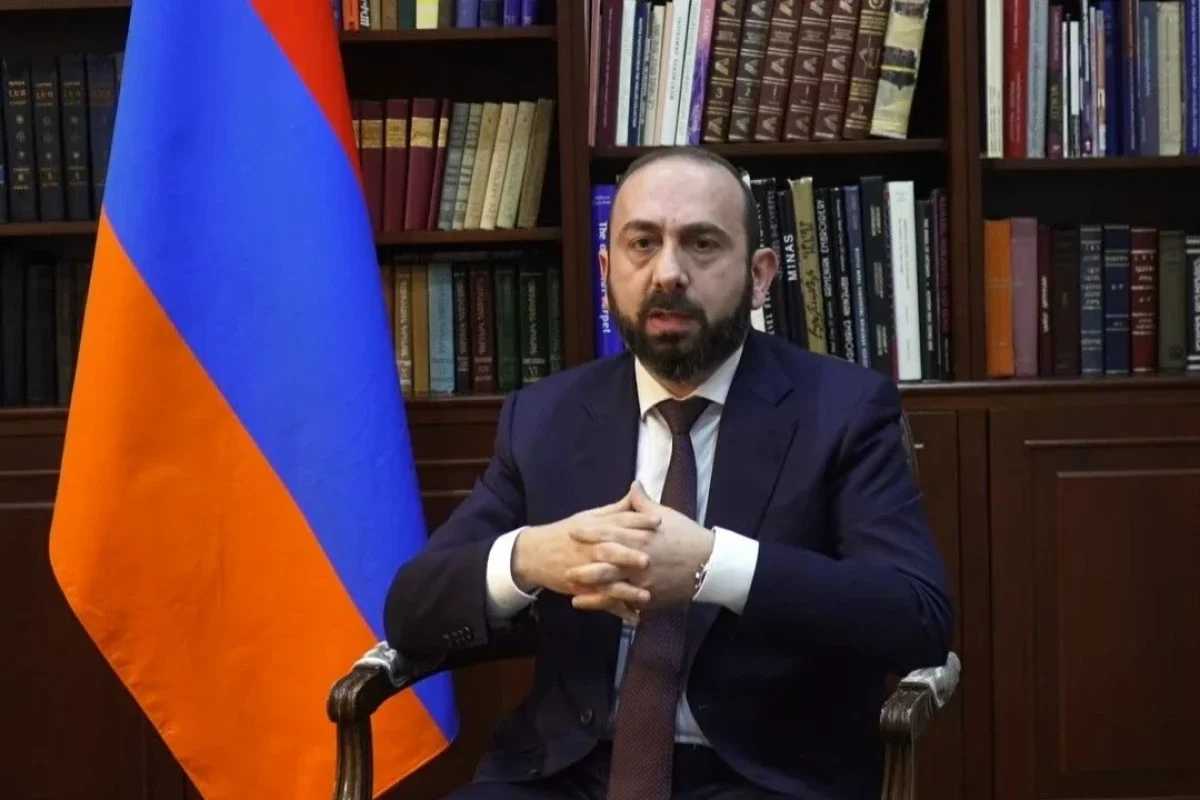 Mirzoyan TRIPP-lə bağlı şirkətin səhmlərinin bölüşdürülməsinin prinsipini açıqlayıb