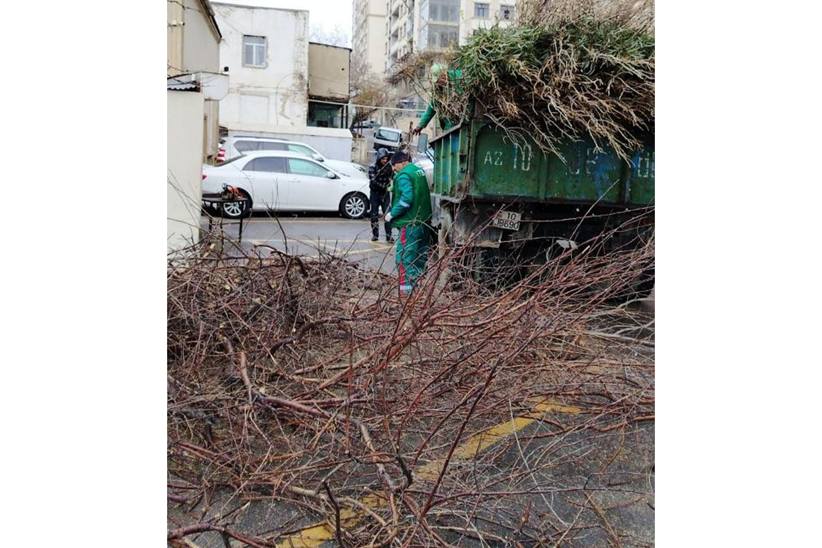 Paytaxtda küləyin fəsadları operativ şəkildə aradan qaldırılıb