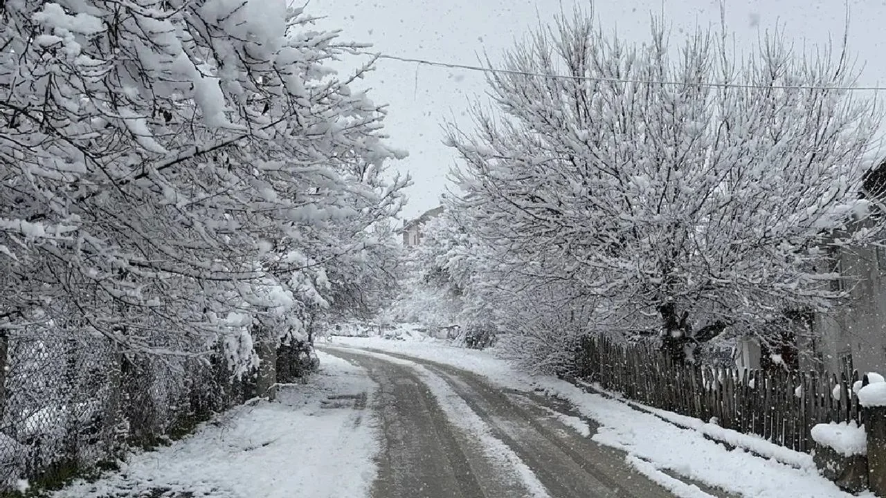 Yol Polisi hava şəraiti ilə bağlı sürücülərə müraciət edib