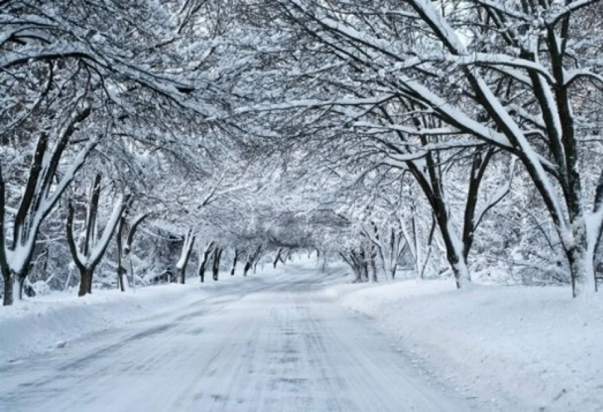 Dağlıq ərazilərdə qar yağır - FAKTİKİ HAVA