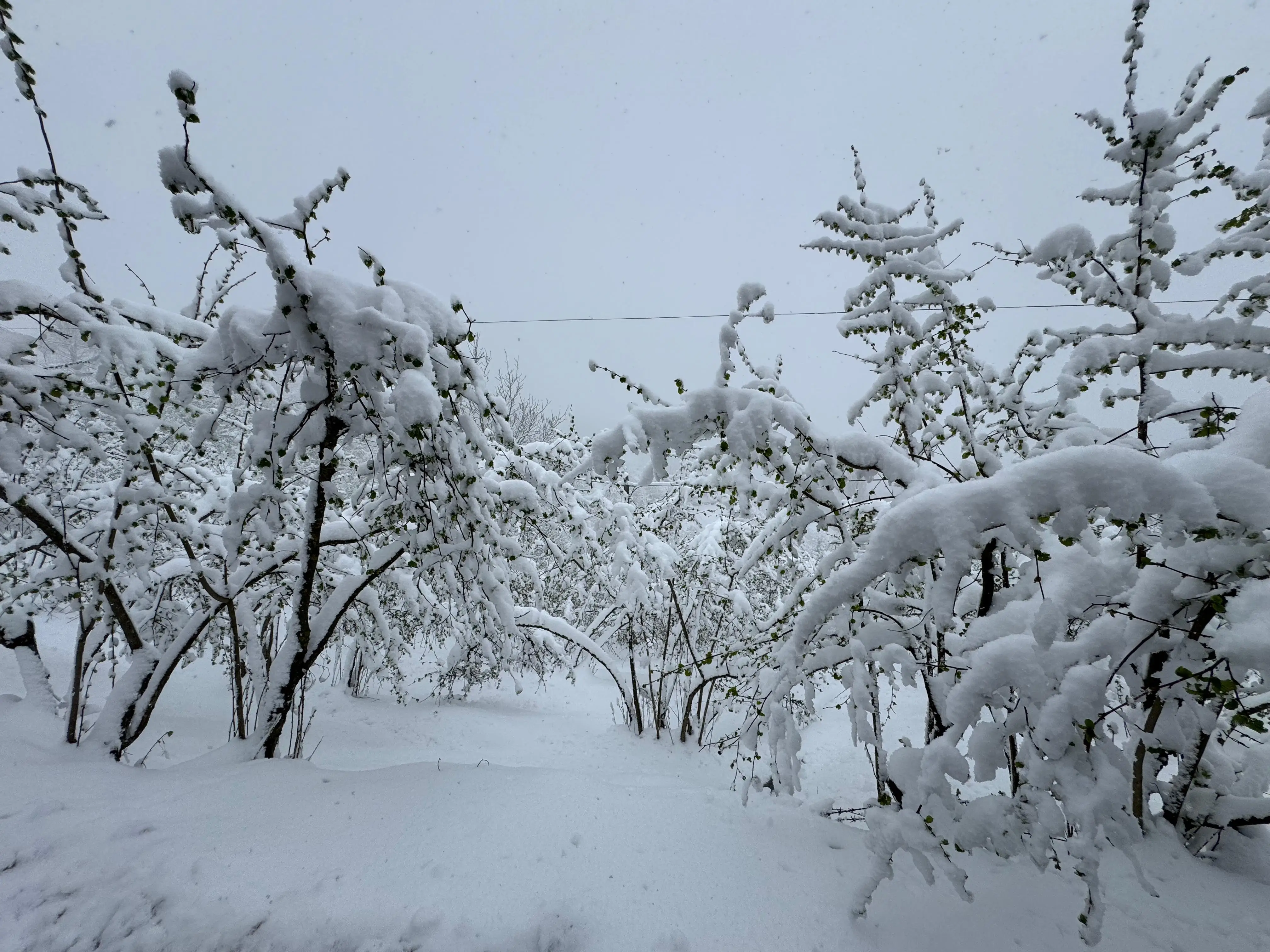 Qış fəslinin Azərbaycana daxil olma vaxtı açıqlanıb