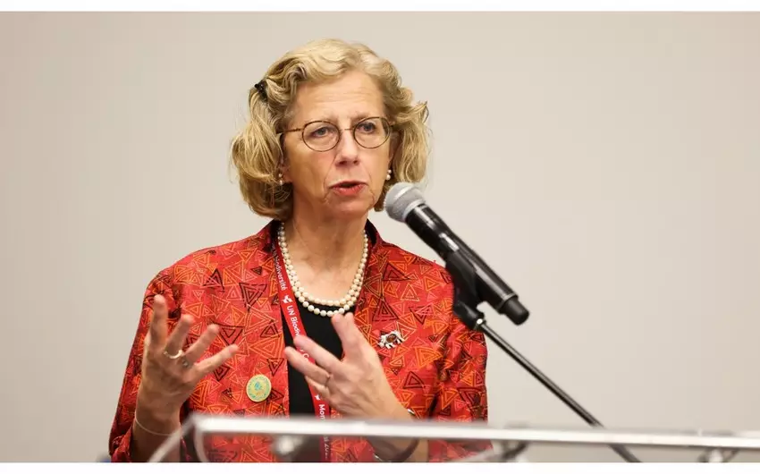 BMT Proqramının icraçı direktoru dünya ictimaiyyətini COP29-da qəbul olunacaq qərarların qəbuluna diqqət yetirməyə çağırıb