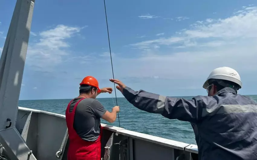 Xəzər dənizində ekoloji monitorinqlər başa çatıb