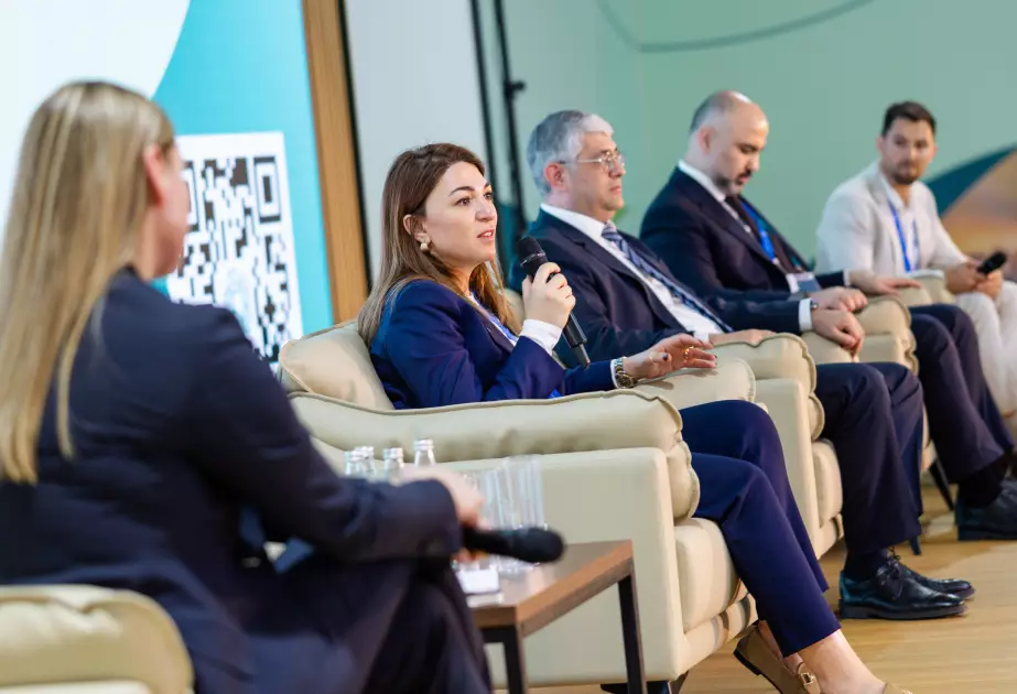 COP29-un açılış günündə dayanıqlılıq mövzusunda tədbir keçirilib