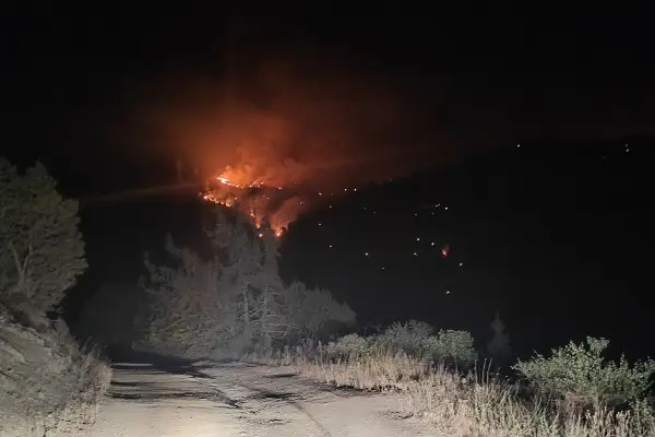 Laçında baş verən yanğınla bağlı 3 nəfər məsuliyyətə cəlb olundu