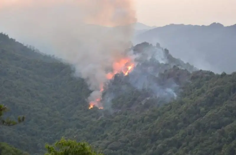 Ağdərə və Qubadlıda baş verən yanğınlar söndürülüb