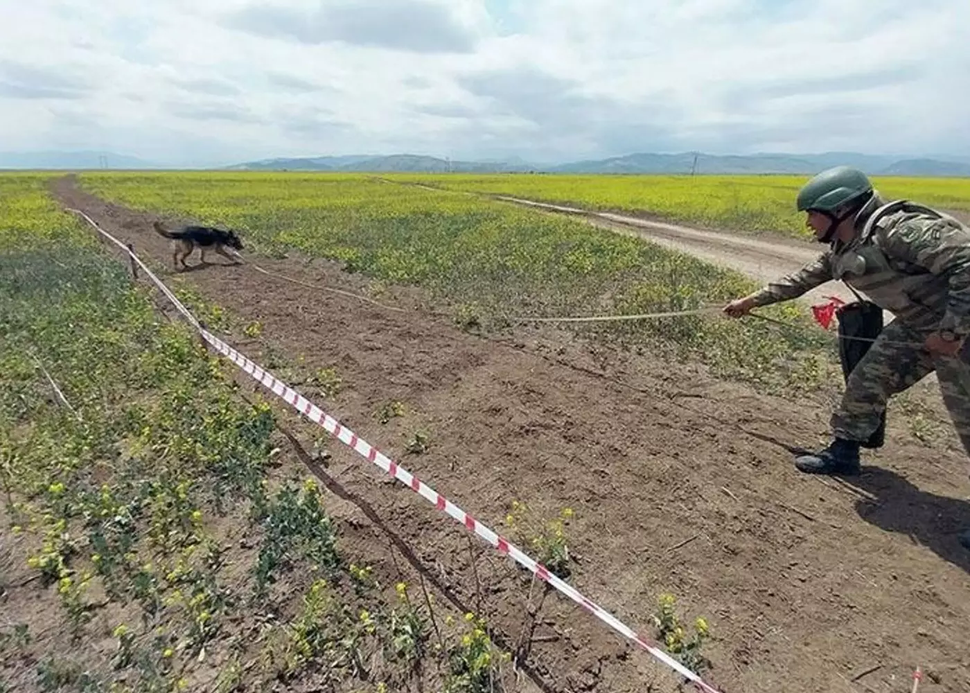 Təhlükəli ərazilərdə minatəmizləmə fəaliyyəti müəyyənləşir