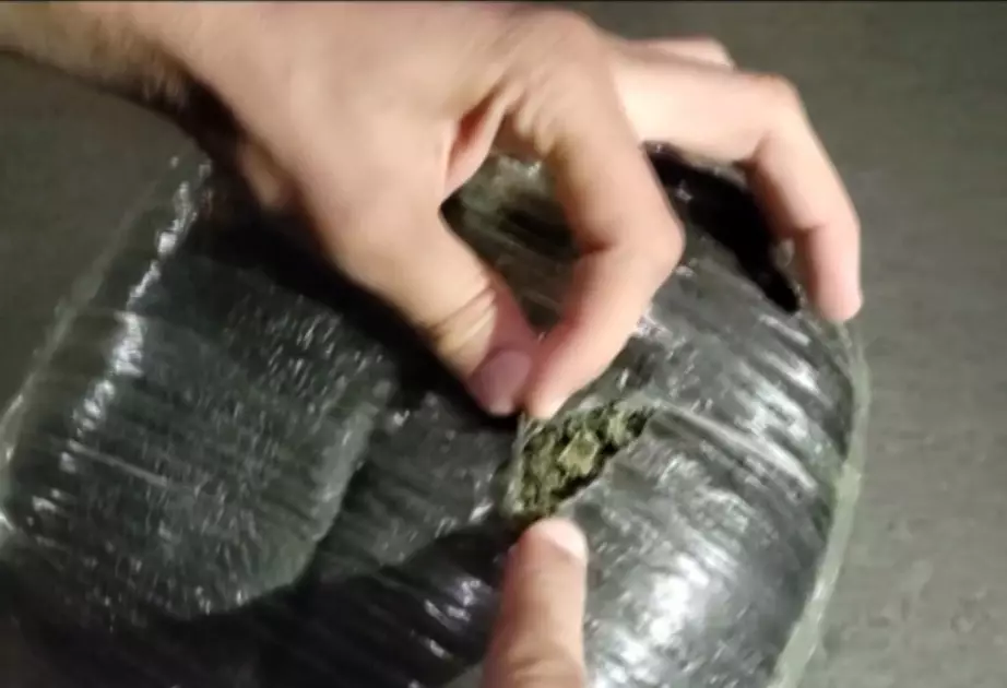 Tovuz polisi narko-kuryerlik edən şəxsləri saxlayıb