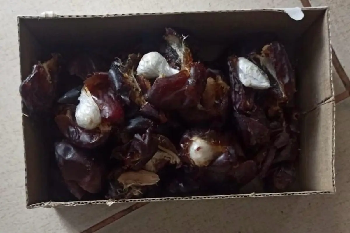 Məhkuma xurmanın içərisində narkotik ötürməyə cəhd olunub - FOTO