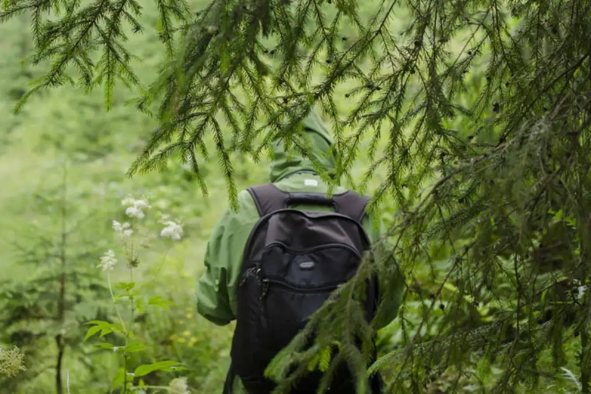 Şabranda meşəlikdə itkin düşən şəxs tapılıb