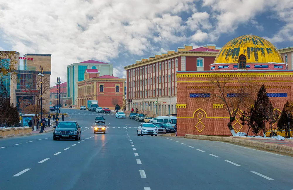 Naxçıvanda Prezident İlham Əliyevə dəstək yürüşü keçirilib