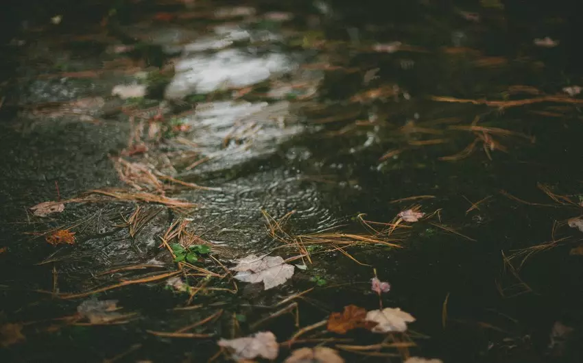 Rayonlarda intensiv yağış yağacaq, güclü külək əsəcək - XƏBƏRDARLIQ