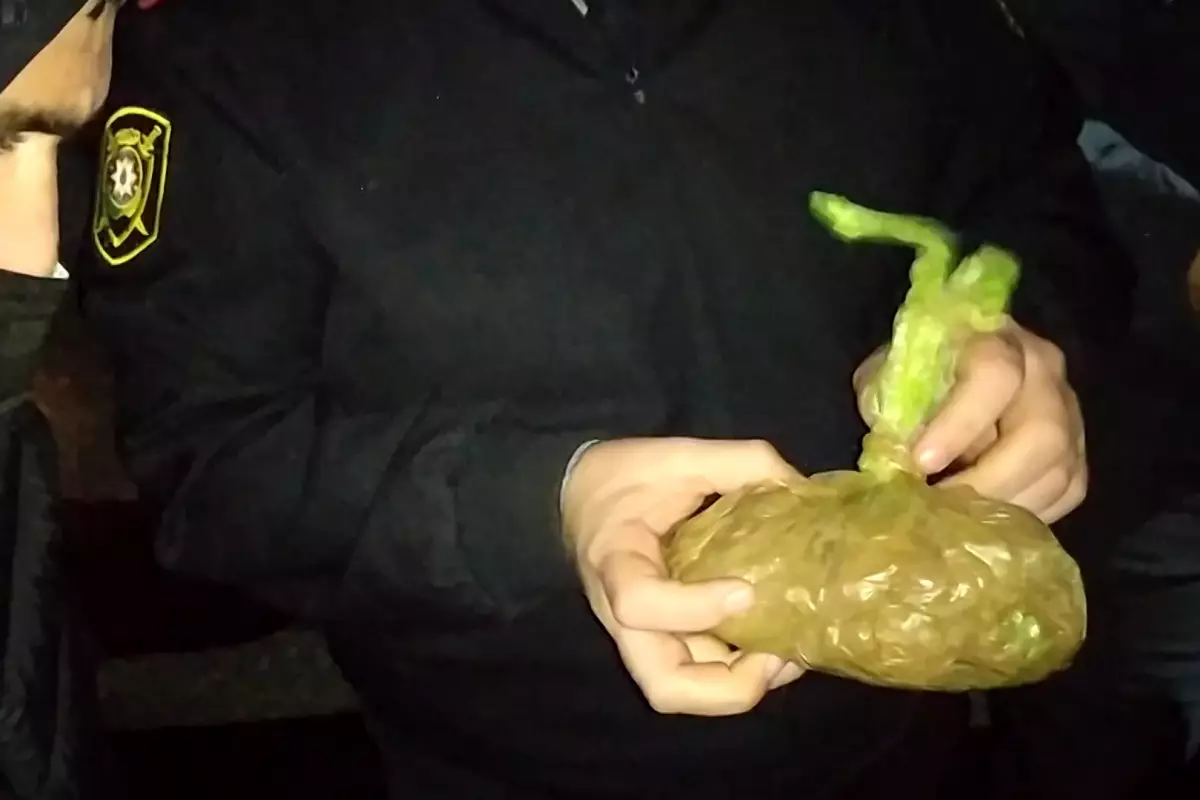 Narkotiklərin dövriyyəsi ilə bağlı cəzaların ağırlaşdırılması təklif olunur