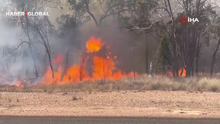 Avstraliyada meşə yanğını nəticəsində 2 nəfər ölüb