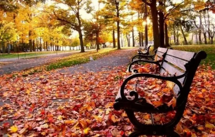 Sabahın hava proqnozu açıqlanıb