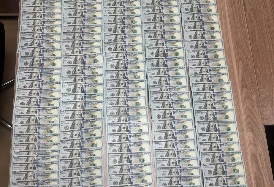 Naxçıvanda evdən 22 min dollar oğurlanıb - FOTO