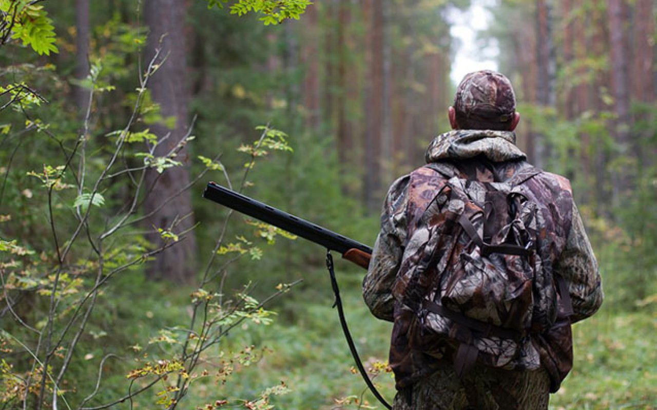 Ov mövsümü başa çatıb