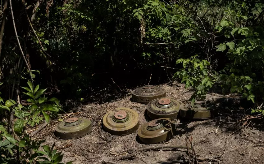 Ukraynada son bir həftə ərzində 1500-ə yaxın mina zərərsizləşdirilib