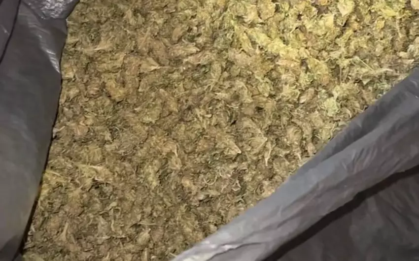 Lerikdə narkokuryerdən 10 kiloqram marixuana aşkarlanıb