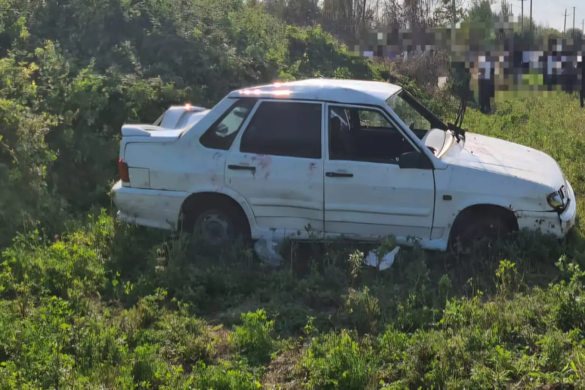 BDYPİ azyaşlıların sükan arxasına keçməsi ilə bağlı əhaliyə müraciət edib