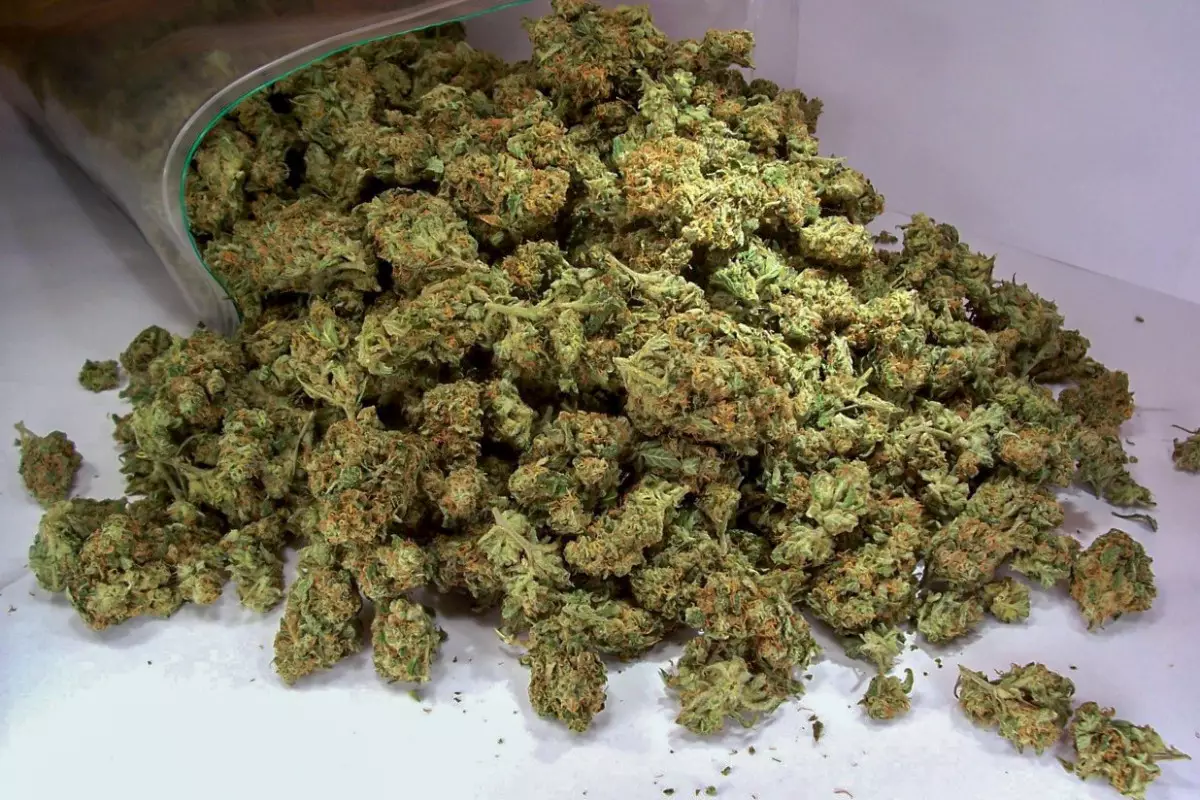 Avtomobildə beşbarmaq və narkotik aşkarlanıb