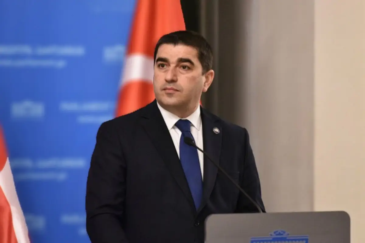 Gürcüstan parlamenti Almaniya XİN-dən izahat tələb edir