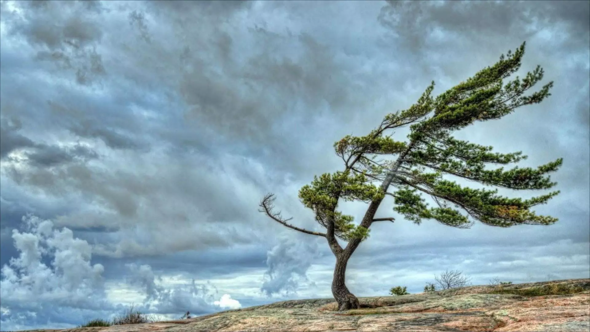 Sabah güclü külək əsəcəK