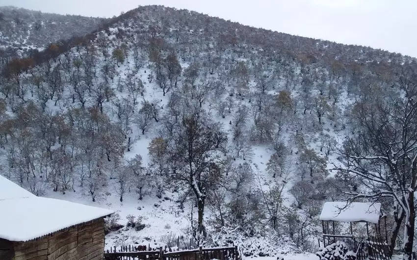 Sabahın hava proqnozu açıqlanıb