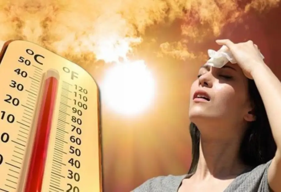 Aran rayonlarında bu gün 40 dərəcə isti qeydə alınıb