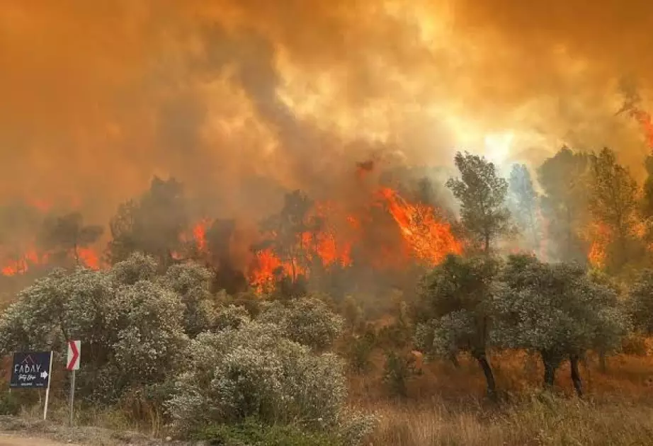Türkiyədə meşə yanğınına görə bir kənd boşaldılıb