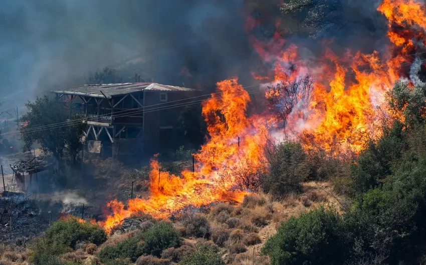 Türkiyədə meşə yanır