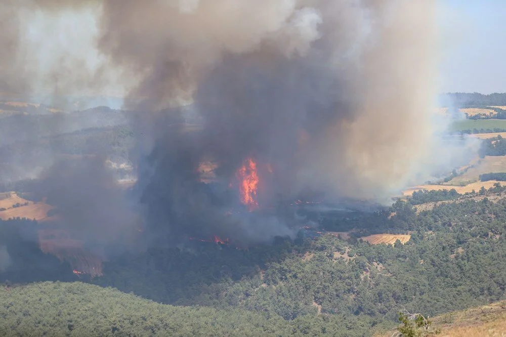 Türkiyədə meşə yanğınları davam edir