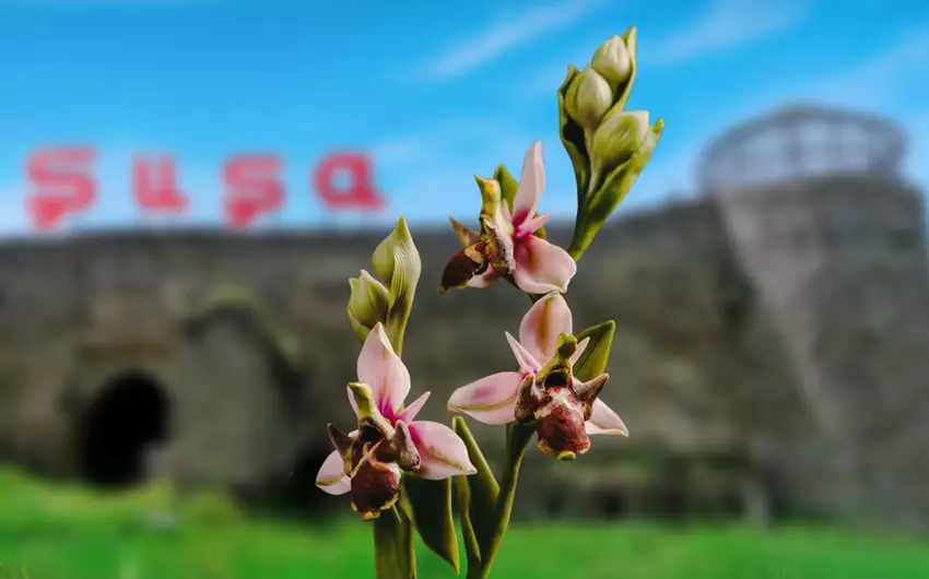 Şuşanın işğaldan azad olunmasından 4 il ötür