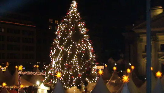 Belçikada şam ağacı aşıb, ölən var