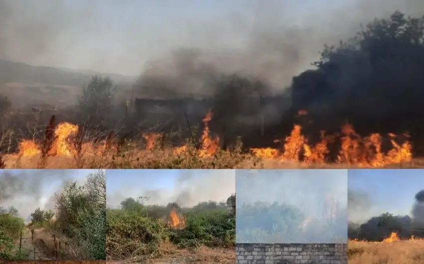 Xocalıda yanğına səbəb olan şəxs saxlanılıb