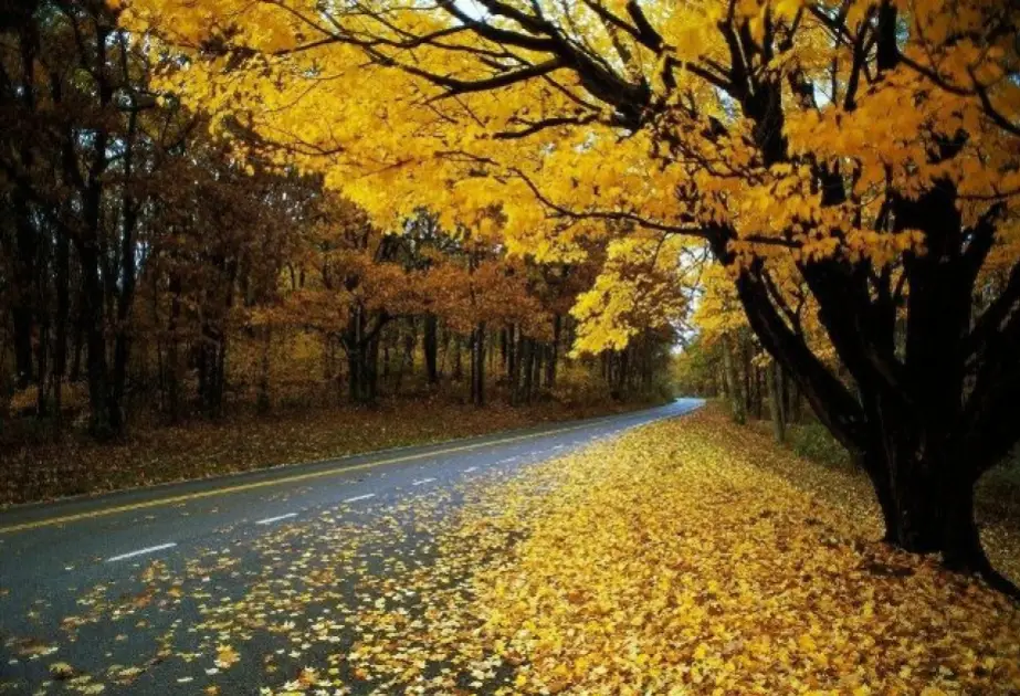 Sabah hava əsasən yağmursuz keçəcək, bəzi qərb rayonlarında arabir yağış yağacaq