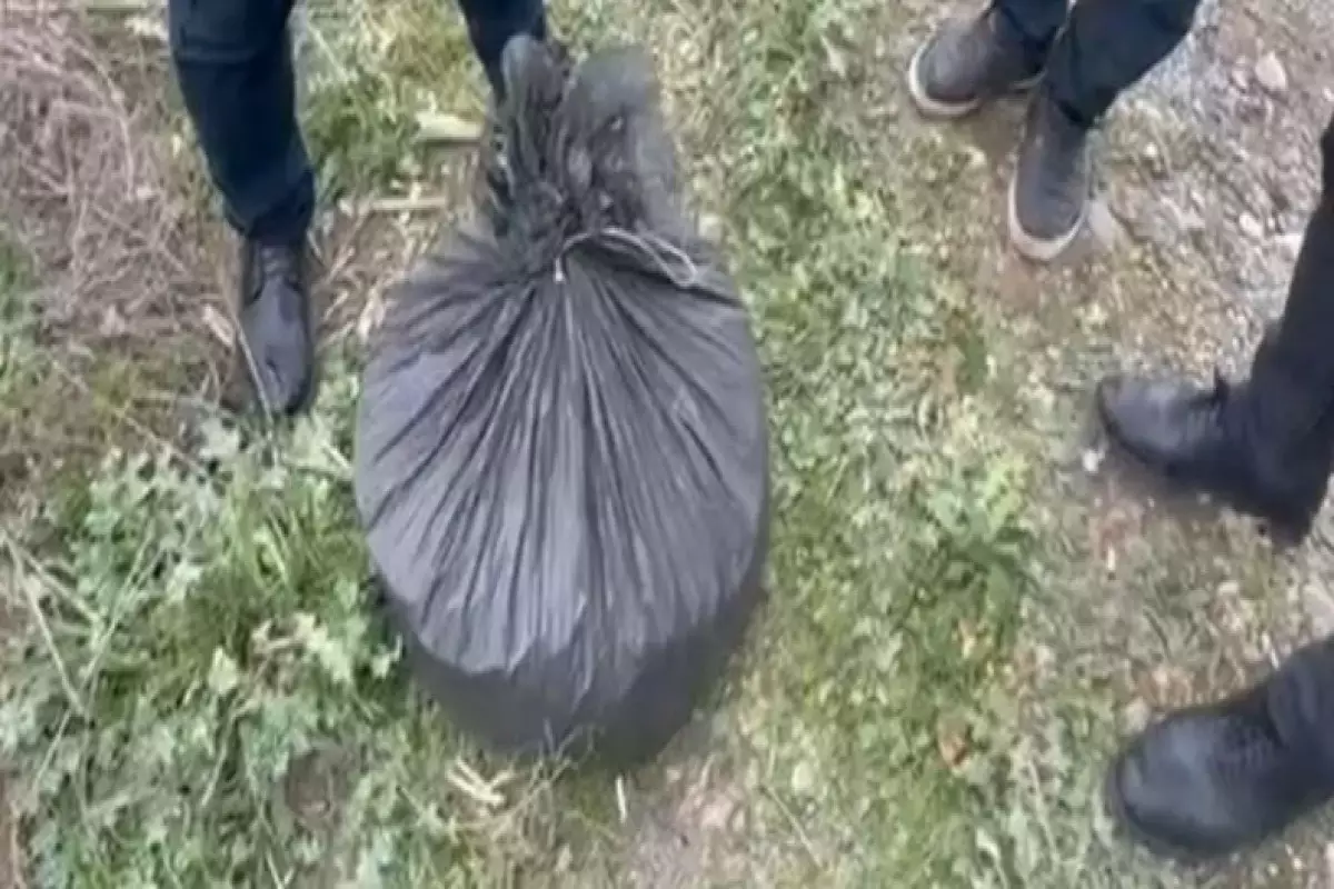 Polis Şamaxıda 8 kiloqram narkotik aşkarlayıb - FOTO