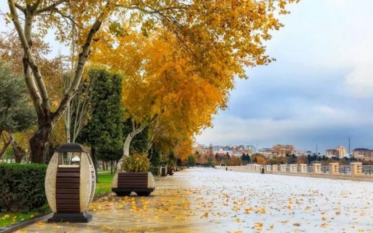 Sabah hava yağmursuz keçəcək