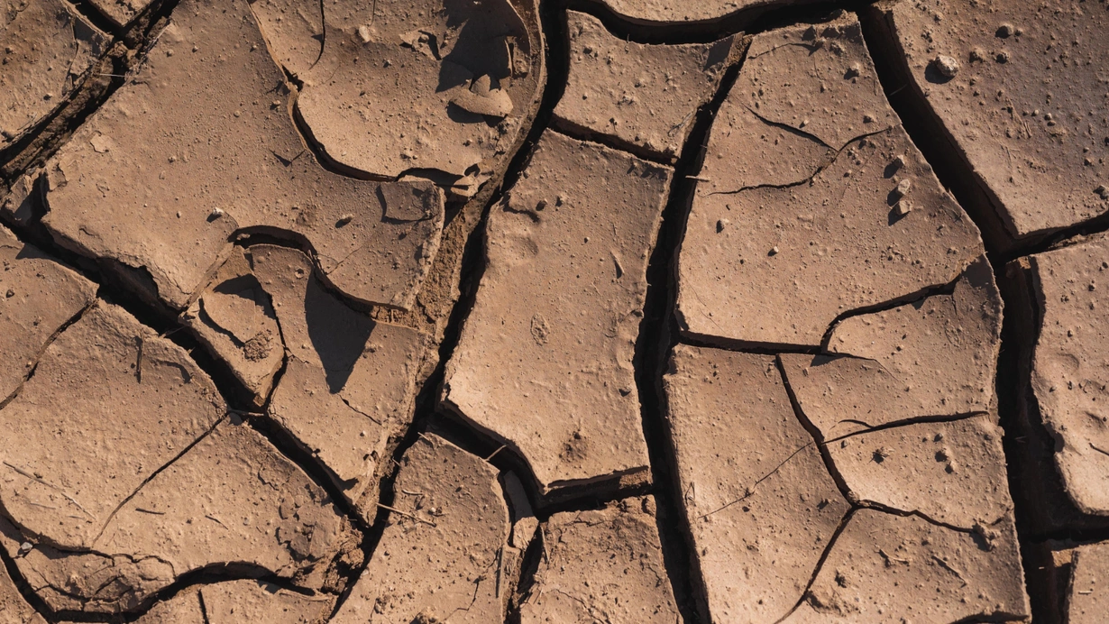 İndoneziyada 6 nəfər aclıq və susuzluqdan ölüb