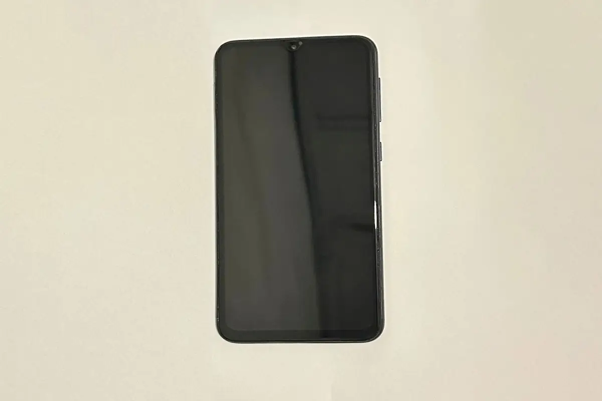 Cəzaçəkmə müəssisəsinə telefon keçirilməsinin qarşısı alınıb