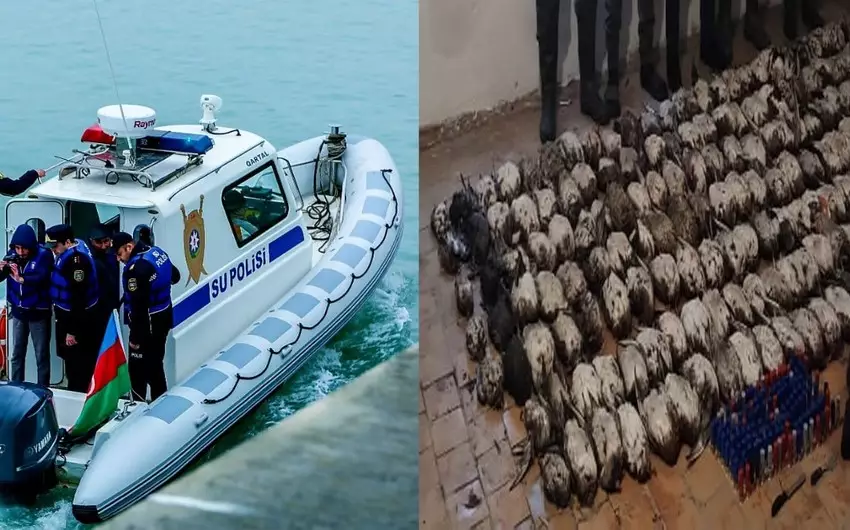 "Qırmızı Kitab”a düşən çöl quşlarını ovlamaqda şübhəli bilinən şəxslər saxlanılıb