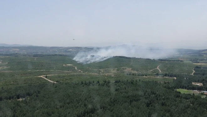 İzmirdə meşə yanğını baş verib