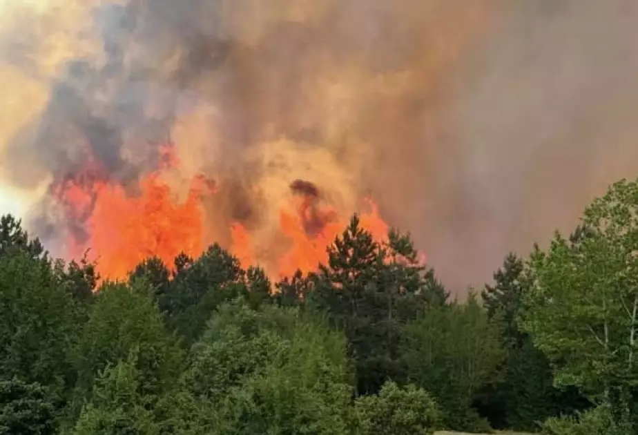 Türkiyənin beş vilayətində meşə yanğınları baş verib
