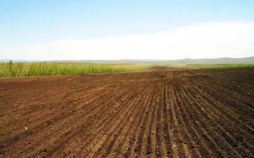 Keçən il 14 min hektardan çox torpaq sahəsi bələdiyyə mülkiyyətinə qaytarılıb
