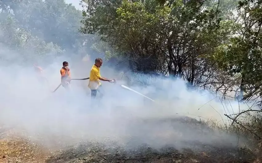 Türkiyənin bir neçə bölgəsində meşə yanır