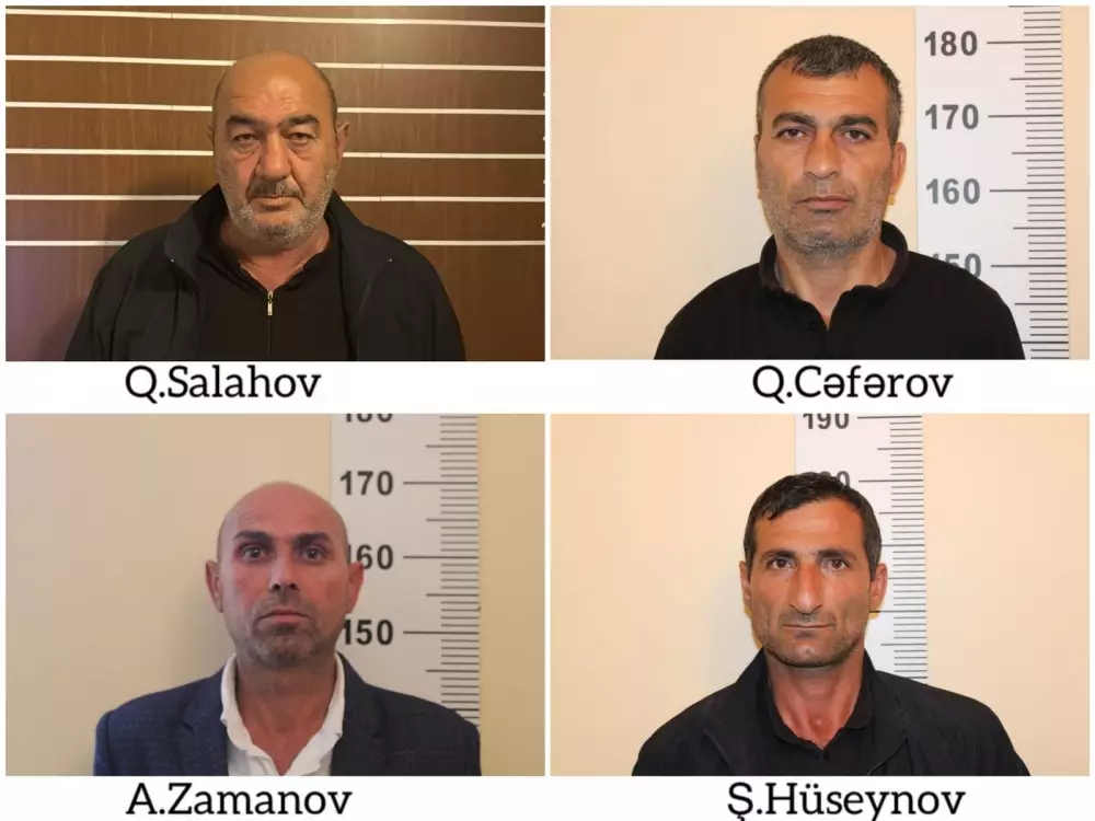 Salyanda narkotik tərkibli bitkilər yetişdirən 4 nəfər saxlanılıb