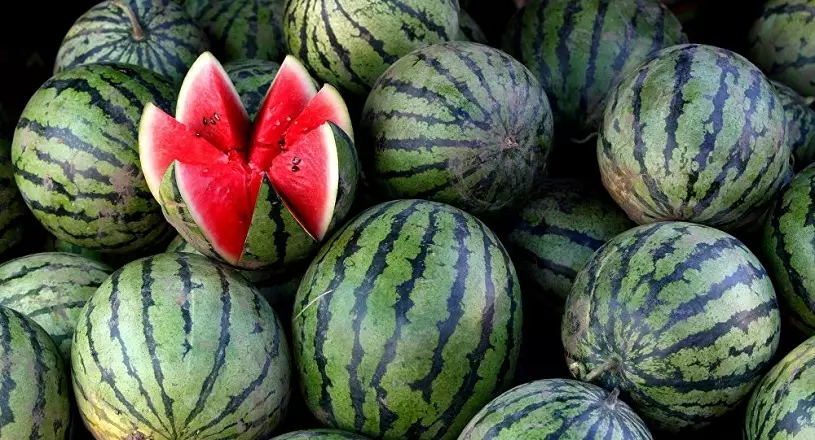 Azərbaycan ötən il Rusiyaya 10 min tondan çox qarpız ixrac edib