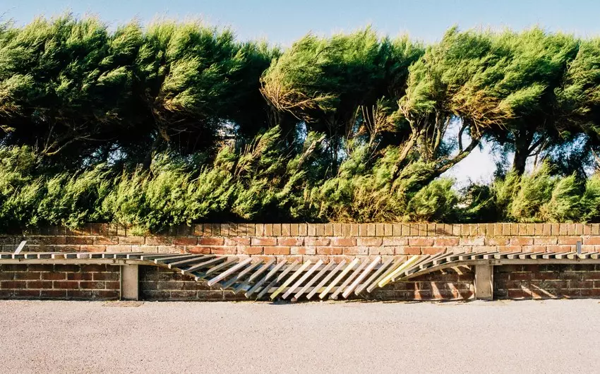 Bakıda və bəzi rayonlarda külək güclənib - FAKTİKİ HAVA - YENİLƏNİB