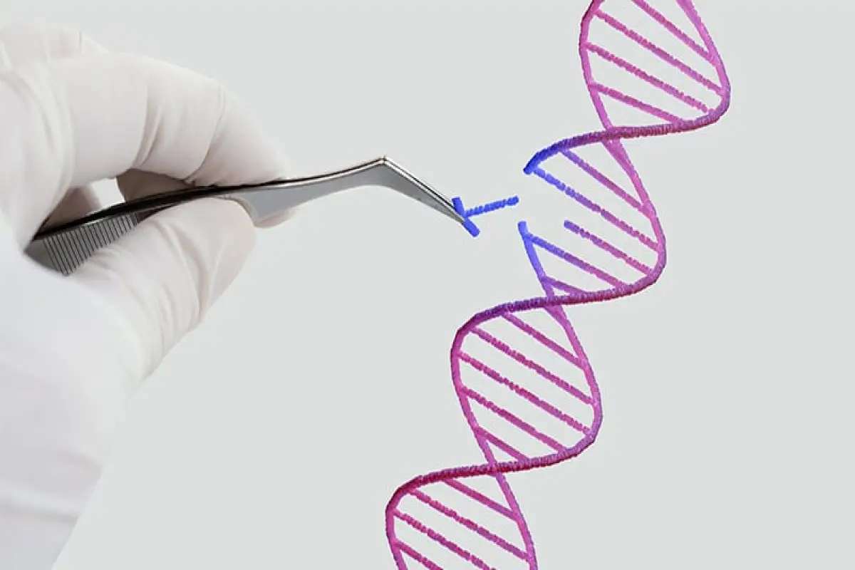 İnsanın klonu patent obyekt kimi qəbul edilməyəcək