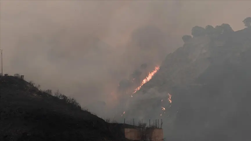 İtaliyanın Sardiniya adasında 20 fərqli yerdə meşə yanğınları baş verib